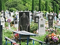 Cmentarz. Fot. Piotr Jargusz