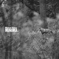 Minima